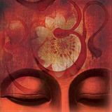 Shamanic Forest Chants 6-7-2013