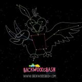 Backwoods Bash 2014 mix: Reflections