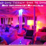 `Aya Napa Deep Culture` Best Of Deep House Music 2014 ESSENTIAL MIX Vol.I Ep.III