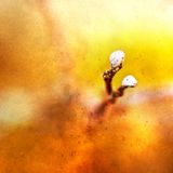 The 4 Seasons : Summer Classics