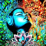 Electric Lotus - Group Therapy Session 4