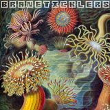 Braneticklers