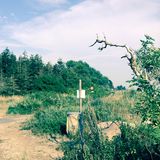 No One I Had Heard Of by Leisureware