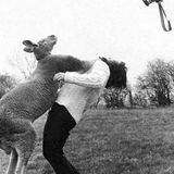 Eyedea.