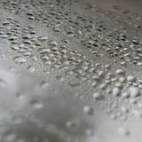 k21 CrYOstasis