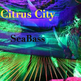 Citrus City- "SeaBass"