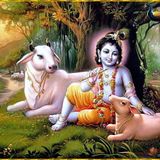 Shruti - Nadaswaram