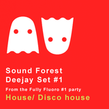 Sound Forest deejay set from Fully Fluoro #01 party. Disco/ disco house
