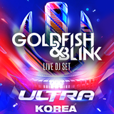 UMF KOREA 2015 - Goldfish & Blink