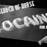 IN SEARCH OF HOUSE " 1000 COCAINA MINI HOUSE "