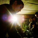 Malus Party 3