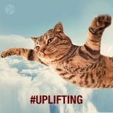 SET UPLIFTING TRANCE@ PLAYFREQUENCY MARATON DJS