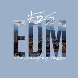 EDM (The Banging Tunes)