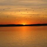 booken- sunset over heart(2011)
