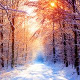 DJ UGD - Winter Podcast 2015