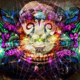 hardstyle mix for ur family and for you =)