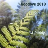 Goodbye 2010