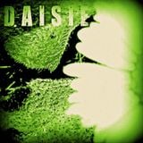 DAISIE | Special Edition - DAISIEcast | June 2015