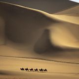 Caravan.