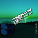 Tirrenia Vibe Feat. Fati - Forget The Words (feeling good)