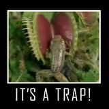 IT'S A TRAP!