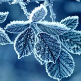 Podcast 16/02/2015 Winter Beats