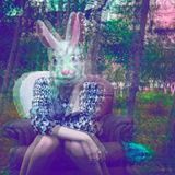 Freund der §onnE - follow the white Rabbit 29.11.14