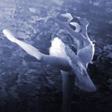 Tchaikovsky - Swan Lake
