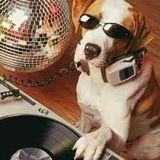 Michael Dog - Planet Dogmix show on Interface Radio 15/1/98