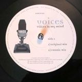 VOICES IN MY MIND RETOUCH BY DJ PUNCH 2016