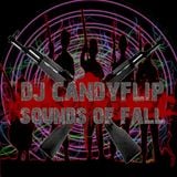 DJ CANDYFLIP_-_SOUNDS_OF_FALL_2010