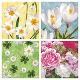 The Lullaby of Spring