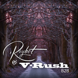 V-Rush vs. iRoybot B2B