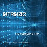 introspective mix