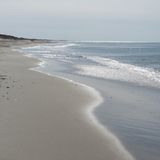 Ran the run (May '12)