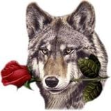 Valentines Day Mix '13
