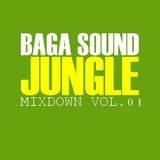 Baga Sound - Jungle Mixdown Vol.01