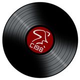 C198