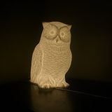 LateNightTales: Jon Jarvis