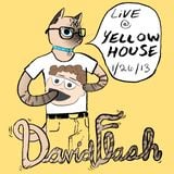 David Flash @ Yellow House
