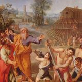 les demis vérités 13