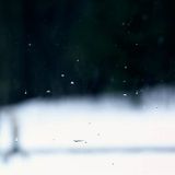 Nowlikephotographs episode 447: everything was black and white except the city lights