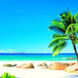 marina playa beach resort live remix 2014