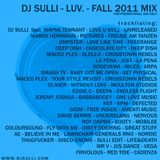 Dj Sulli - 2011 - Luv - Dj Mix