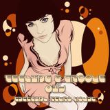 Feeling & Groove 014 (Especial Retro House) @ Echolovers Fm