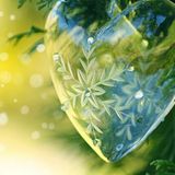 Winter Love 2015