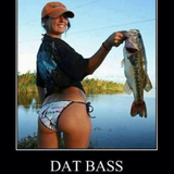 Barfbass Sampler
