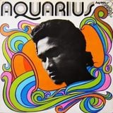 Herman Chin Loy | Aquarius Rock