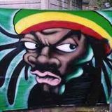 Dubhoppin, inner b-boy skanks --- vol 2--- dj feva