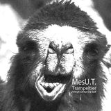 MesU.T. - Trampeltier (Vinyl Only)